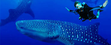 Isla Mujeres tour from Cancun